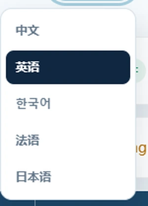 In-app language dropdown showing five interface languages